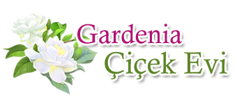 ATAKÖY 5. KISIM Çiçek Siparişi - Ataköy 5.Kısıma Çiçekçi - Gardenia Çiçekçilik